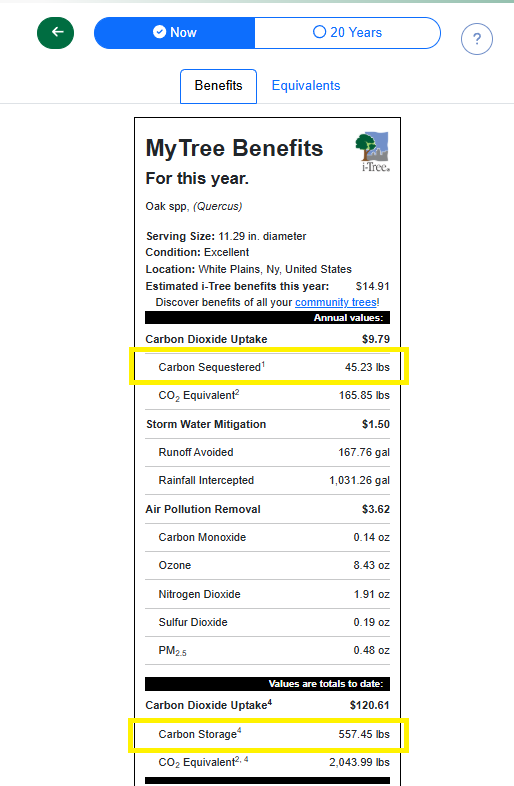 Reference MyTree Benefits panel showing carbon values